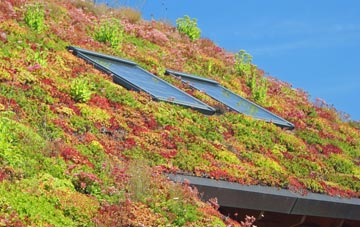 Hollybushes living roof systems